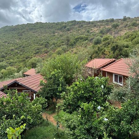 Villa The Mussel House Ksamil Exterior foto